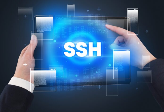 Why Is Secure Shell Access (SSH) Crucial For Your Websites?